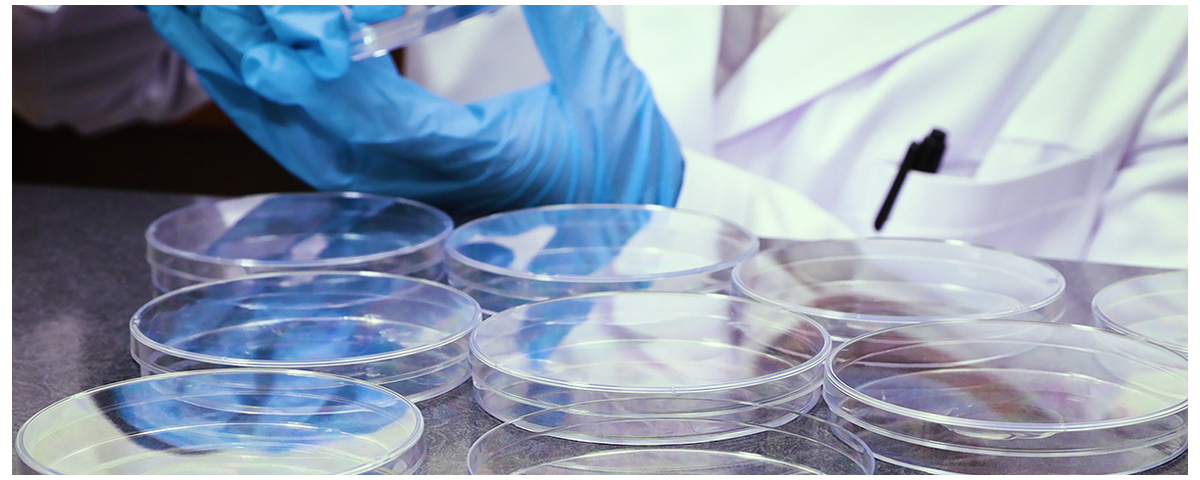 the-development-of-dmso-alternatives-with-lower-toxicity-is-a-growing-focus.jpg