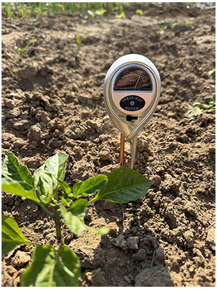 pH testing in soil with a meter and scale for acidification guidance.