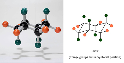 Cyclohexane's chair conformation