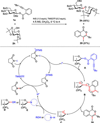 Glycosylation reaction promoted by TMSOTf