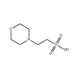 Molecular Structure of MES