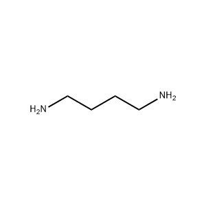 Molecular Structure of 1,4-Diaminobutane