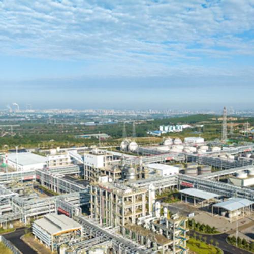 Advancing Nylon 66 Supply Security Through Domestic Adiponitrile Production in China