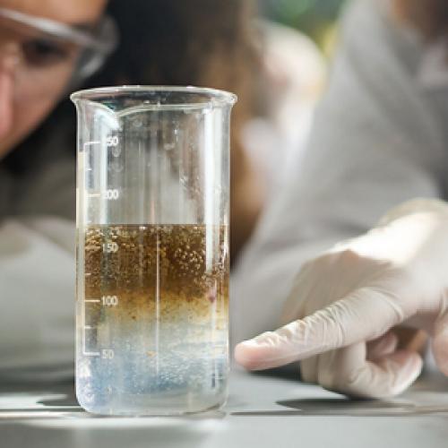 Ester Solvents for Industrial Coatings and Ink Formulations