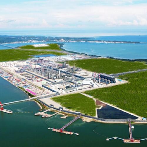 Petrochemical Capacity Expansion Strategies in Emerging Markets