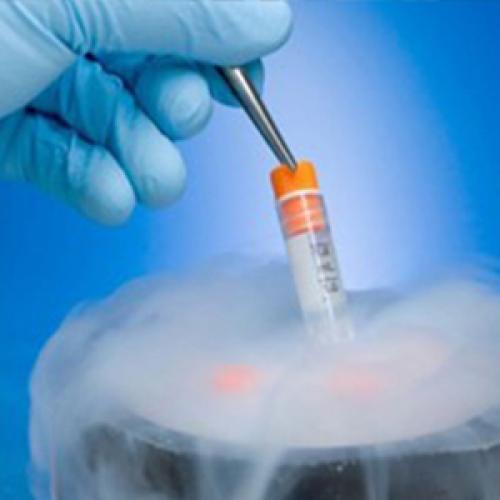 DMSO as Cryoprotectant and Formulation Excipient: Biotechnology and Pharmaceutical Applications