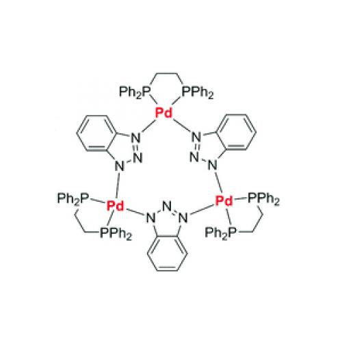 Palladium Complexes for Advanced Organometallic Catalysis