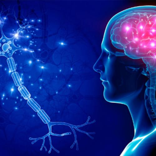 CNS Drug Intermediates for API Synthesis | Aure Chemical