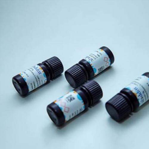 Amino PEG Derivatives for Surface Modification | Aure Chemical
