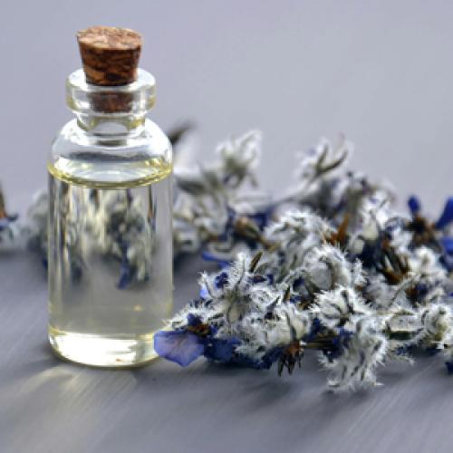 Fragrance Aldehydes and Paraxonal