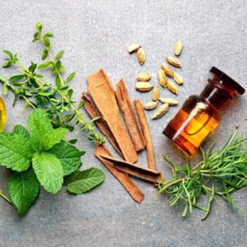 Fragrance Ingredients and Procurement